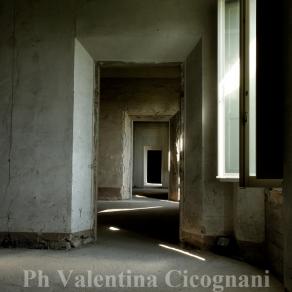 "Il corpo del gigante #8"