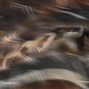 rolling stones. verso il futuro.