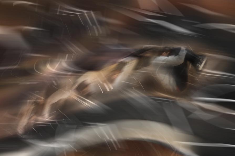 rolling stones. verso il futuro.