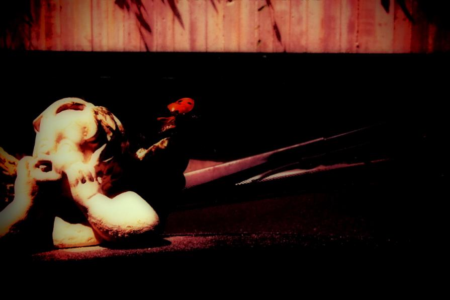 Sulle ali della fortuna 