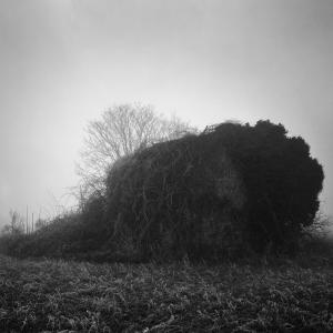 45.290685, 11.874861 Gallinaro, Padova 45.290685, 11.874861 Gallinaro, Padova