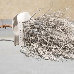 HUMAN EXOSKELETON - METAMORPHOSIS: APOLO & DAFNE