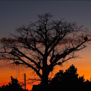 Tramonto Vinales (Cuba )