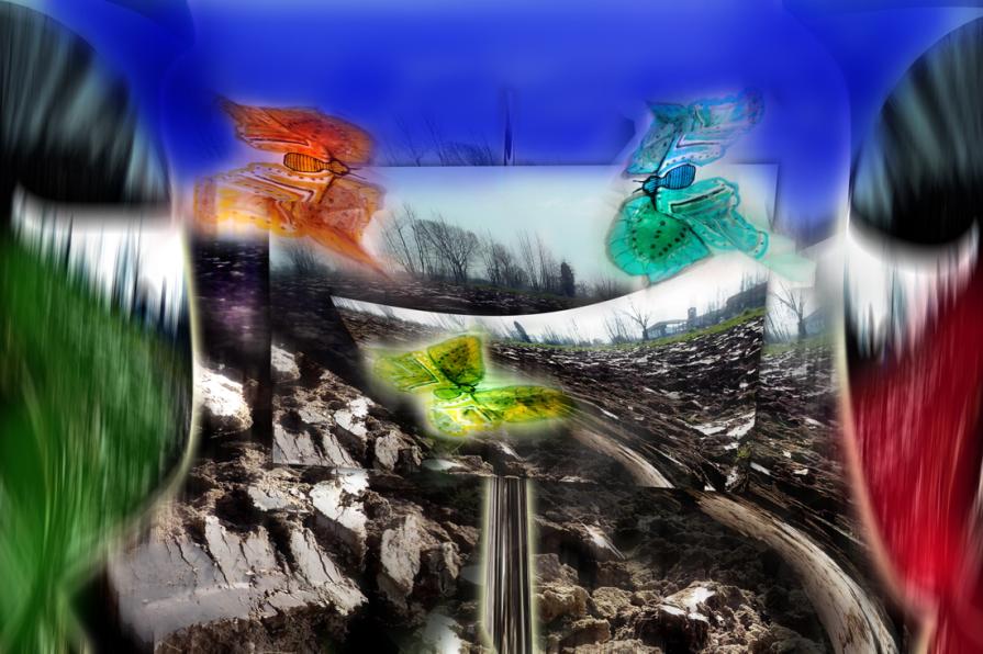 arare la terra per un raccolto grosso grasso.