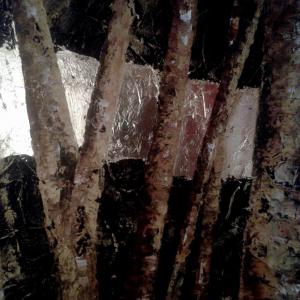 Particolare Particolare