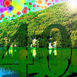 CON I MIEI MILLE SACRIFI  . . . 