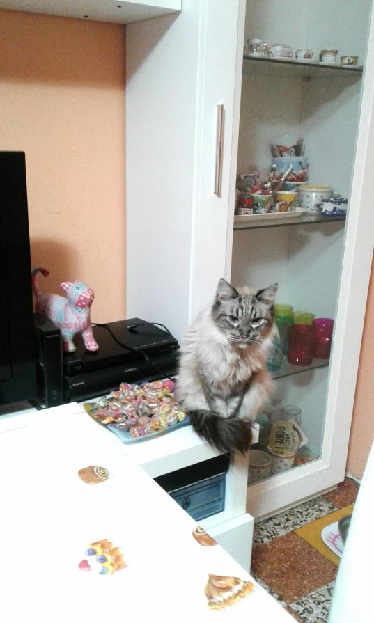 Nel Nostro Quotidiano ....