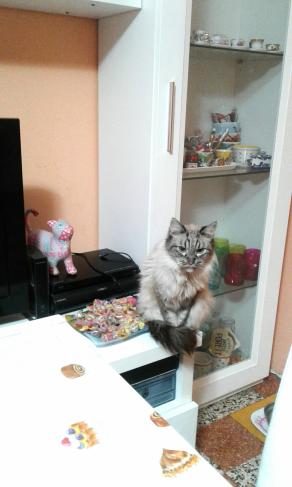 Nel Nostro Quotidiano ....