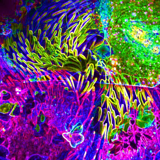 Cattura il mondo allo stesso modo in cui lo cattura lo sguardo di un bambino...!!!