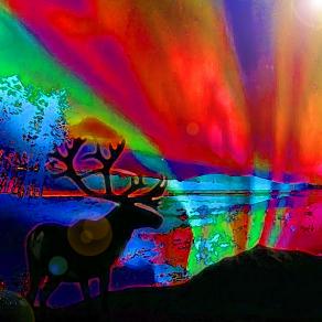 Aurora boreale...un sogno da vivere ad occhi aperti...!!!