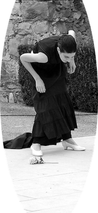 * IL D A N Z A T O R E * 