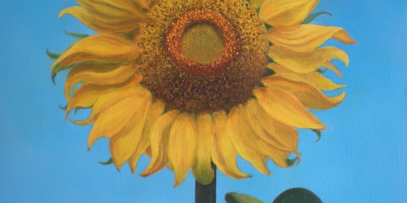 IL FIORE DEL SOLE IL FIORE DEL SOLE