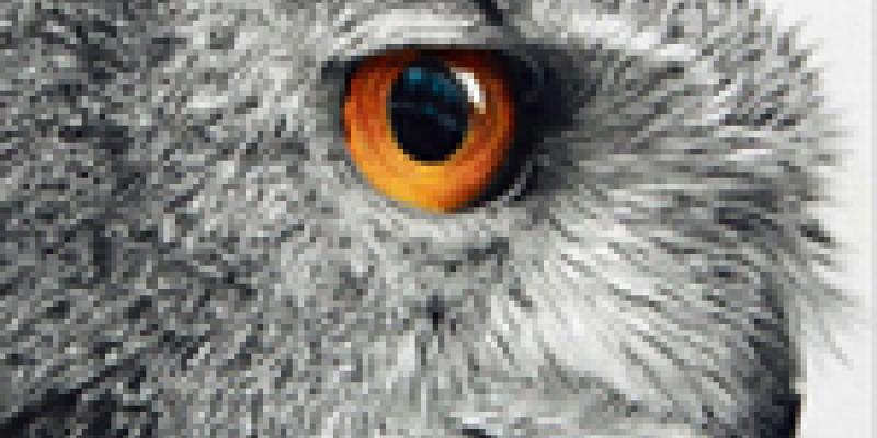 4th Annual All Women 2015 Art Exhibition Now Online Ready to View