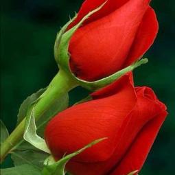 EVENTI  Arte La Chimera