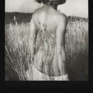 NUDE FLOWER - ENRICO BORGOGNI - photos of female figures