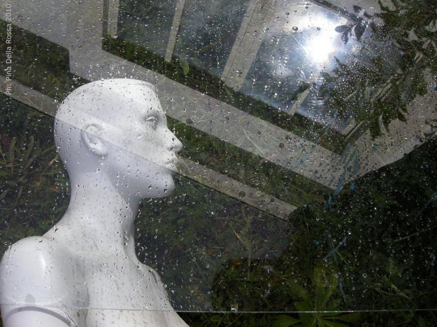 FONTE DELLA VITA FONTE DELLA VITA