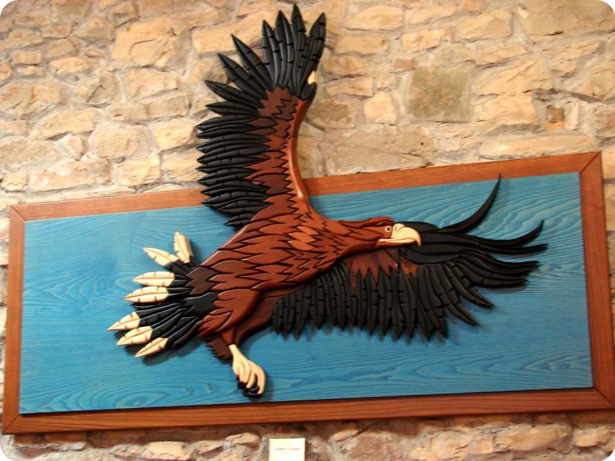 Aquila