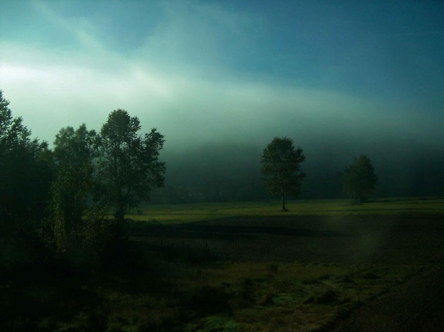 6x Mädchen und 4x Adele 