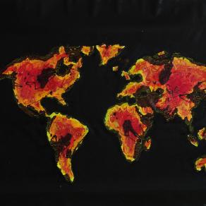 "DISASTRO AMBIENTALE"