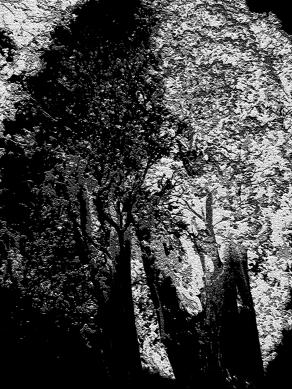 Dr. jekyll and mr. Hyde.