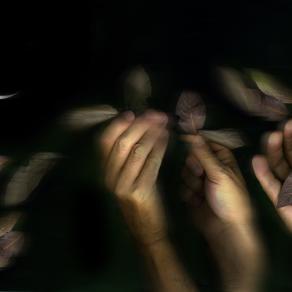 fermati ad osservare quello che succede intorno a te,una semplice brezza la notte fa cadere le foglie.la mattina maurino le deve raccogliere.