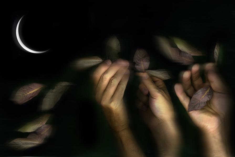 fermati ad osservare quello che succede intorno a te,una semplice brezza la notte fa cadere le foglie.la mattina maurino le deve raccogliere.