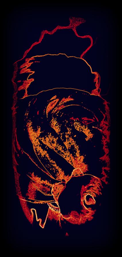 Forma Experimentale 10