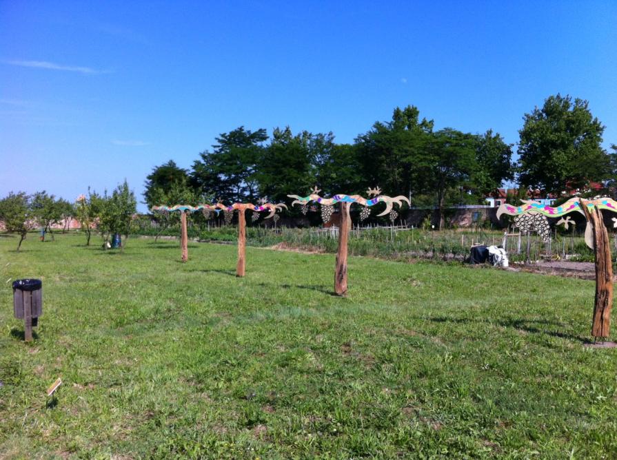 Vite Dorona Venissa (insieme 1, 2, 3, 4)