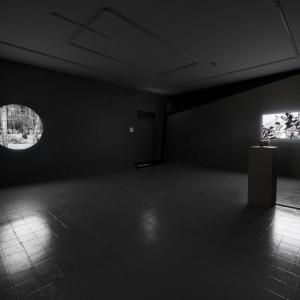 'Fugue' + 'Blink' video installation view, 2016 'Fugue' + 'Blink' video installation view, 2016