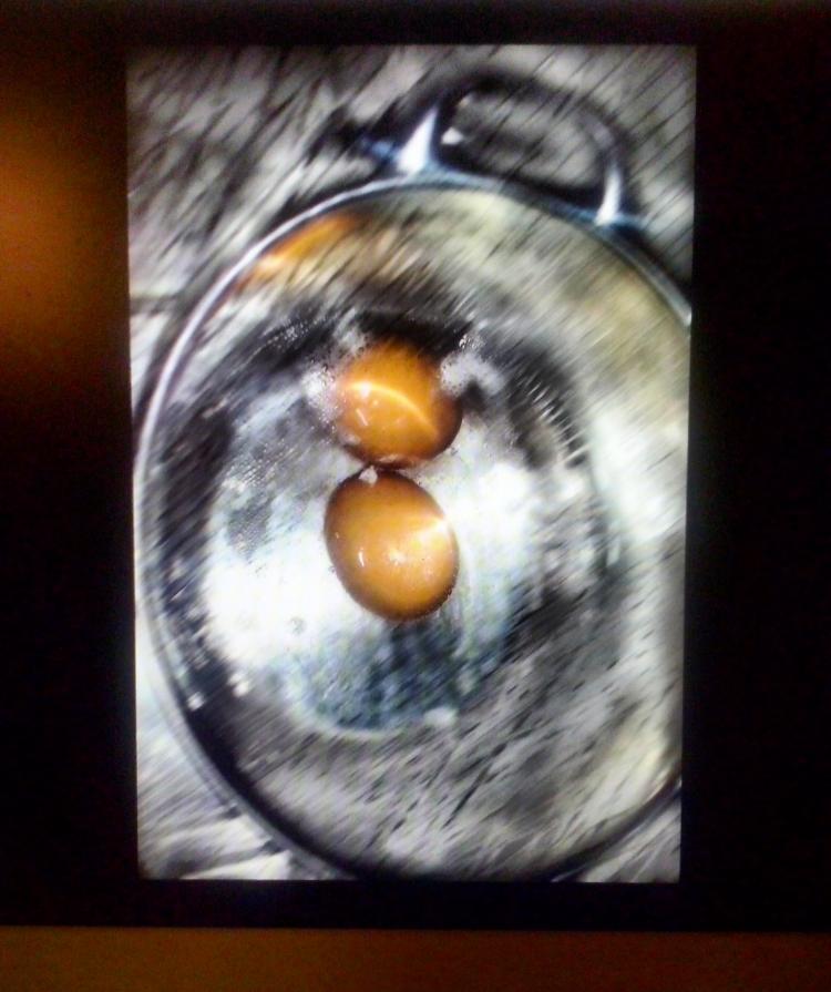 cotti e mangiati, universo ovo. 