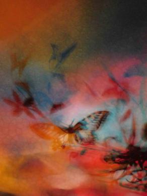 I COLORI DELLA BIODIVERSITÀ