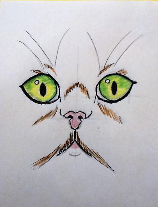 Io non mi meraviglio affatto quando il gatto fa qualcosa di misterioso, mi meraviglio quando fa cose normali !!!