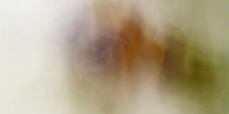 Contemporary Poetic Proposals Contemporary Poetic Proposals