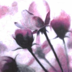 Polline/il network della natura - opere di Massimo Barlettani Polline/il network della natura - opere di Massimo Barlettani