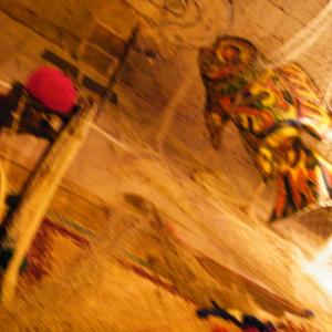 Rosa Didonna“ La Sibilla.  ADidonna rte - La Mia Seconda Pelle”55° Biennale Internazionale d'Arte di Venezia.