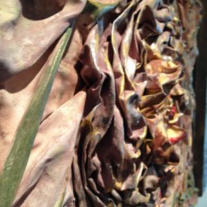 Le sedie parlanti - Personale Daniela de Scoprio