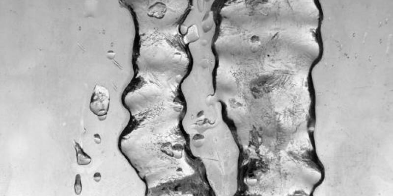 "Solidarietà artistica contro la perdita della cultura"