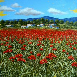 Il sorriso di Roberta per l’UNICEF - project “fight against infant and maternal mortality in Afghanistan”