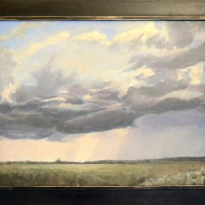 LE FOTO DI ALTRA NATURA IN VILLA fino al 25 ottobre CLUB LA MERIDIANA (MO)