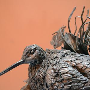 LE FOTO DI ALTRA NATURA IN VILLA fino al 25 ottobre CLUB LA MERIDIANA (MO)