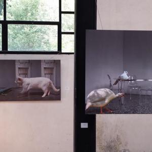 Food Culture e Slow Art | l'arte che rappresenta il gusto Food Culture e Slow Art | l'arte che rappresenta il gusto