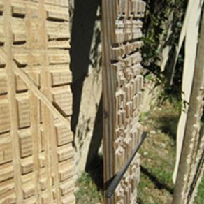 opere di Andrea Mercedes Melocco