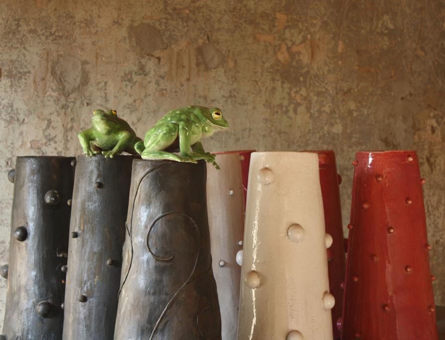 "Rane d'Italia" "Rane d'Italia"