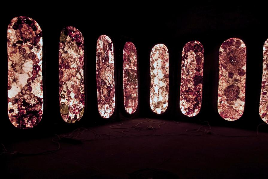 Love Letters Love Letters