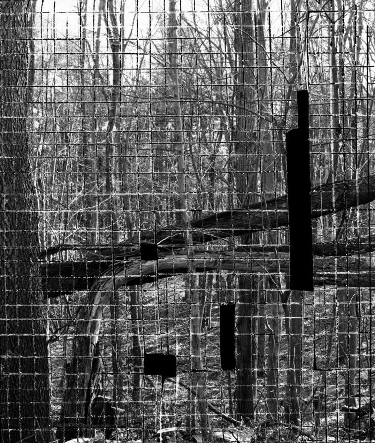 Broken Grid #6, 2013