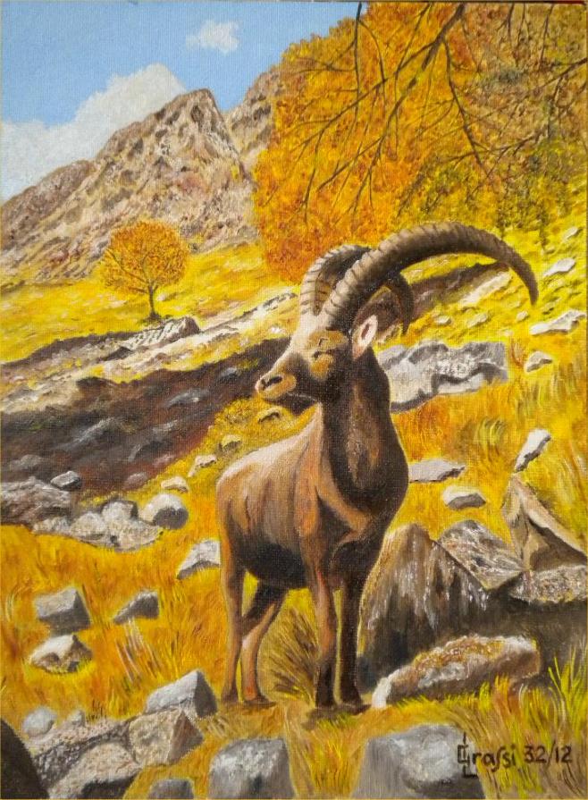 LG 0227 - Lo stambecco