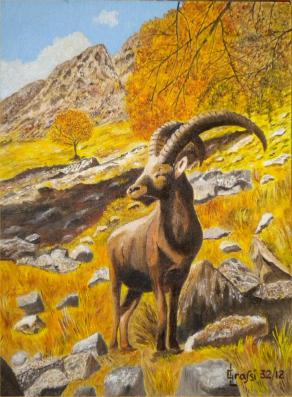 LG 0227 - Lo stambecco