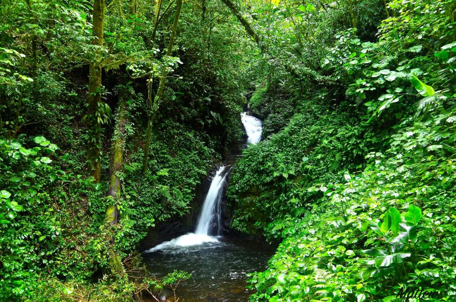 Cascata  Monteverde Costa rica