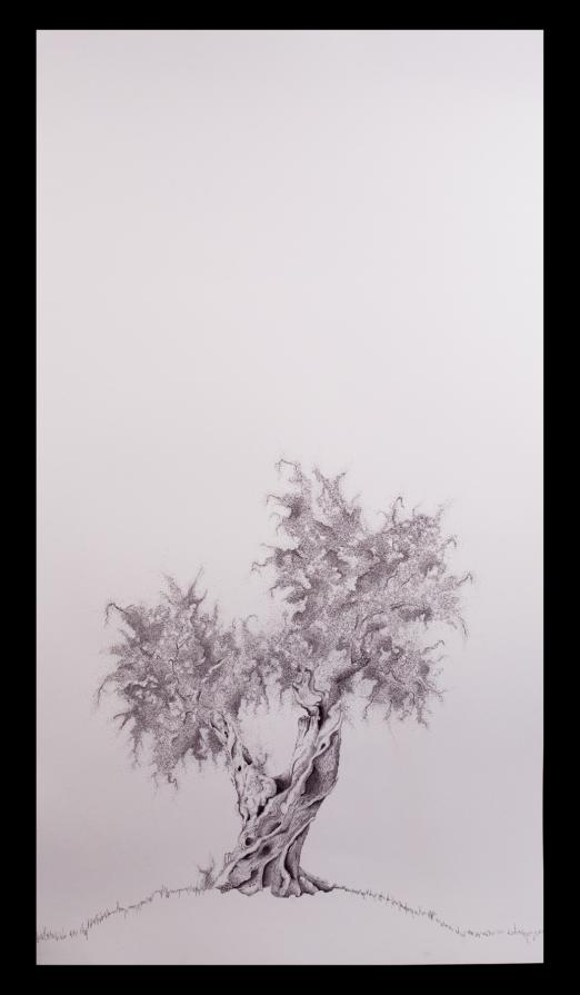 a U L I V O o f R 7 ®