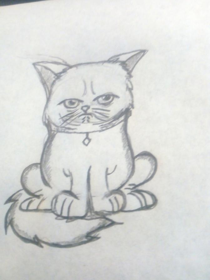 I Disegnini della piccola Tany !!! 23